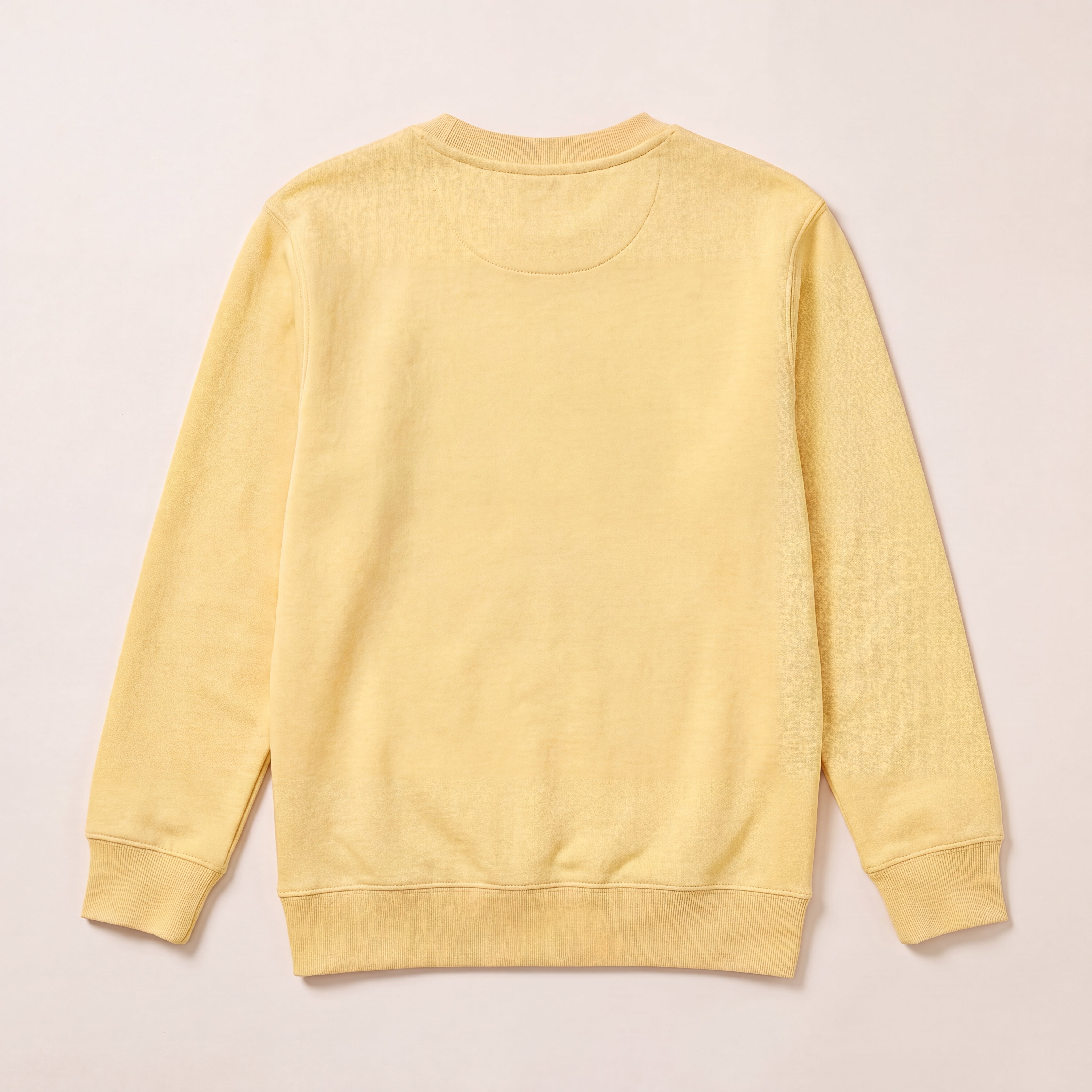 Blank – Sweatshirt – Rücken (viva)