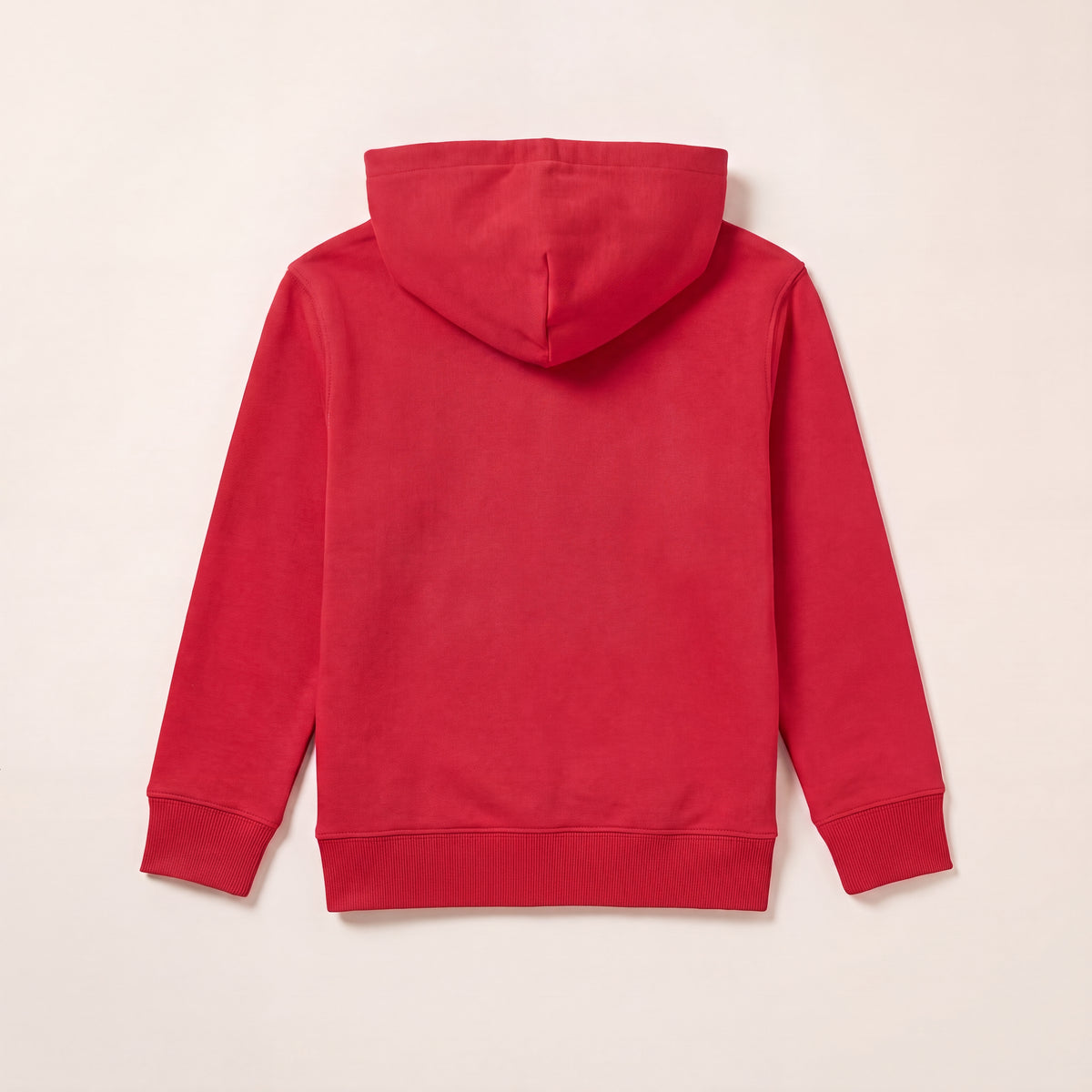 Einfach machen – Hoodie – Packshot Rücken (C004/KIDS)
