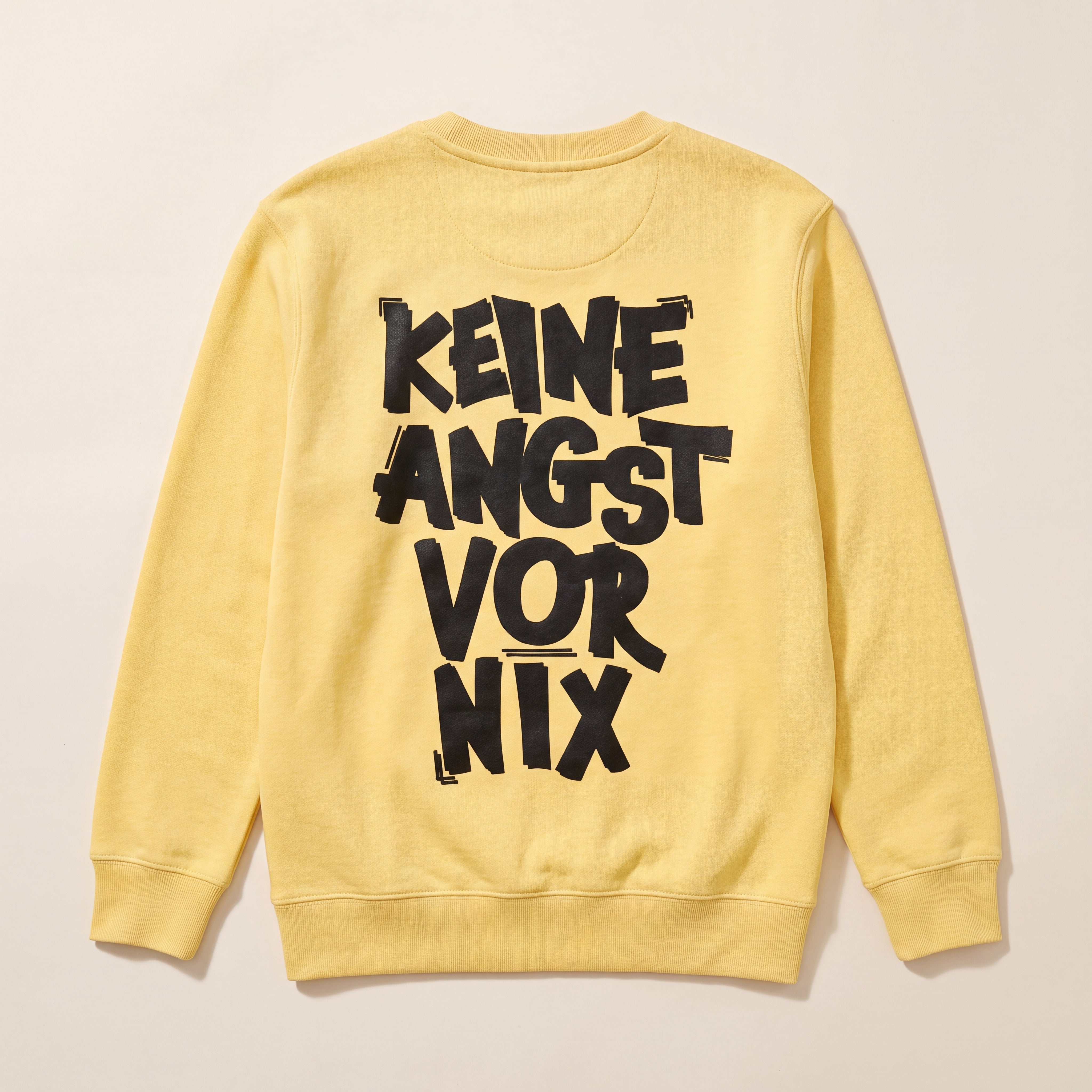 Keine Angst vor nix – Sweatshirt – Packshot Rücken (viva)
