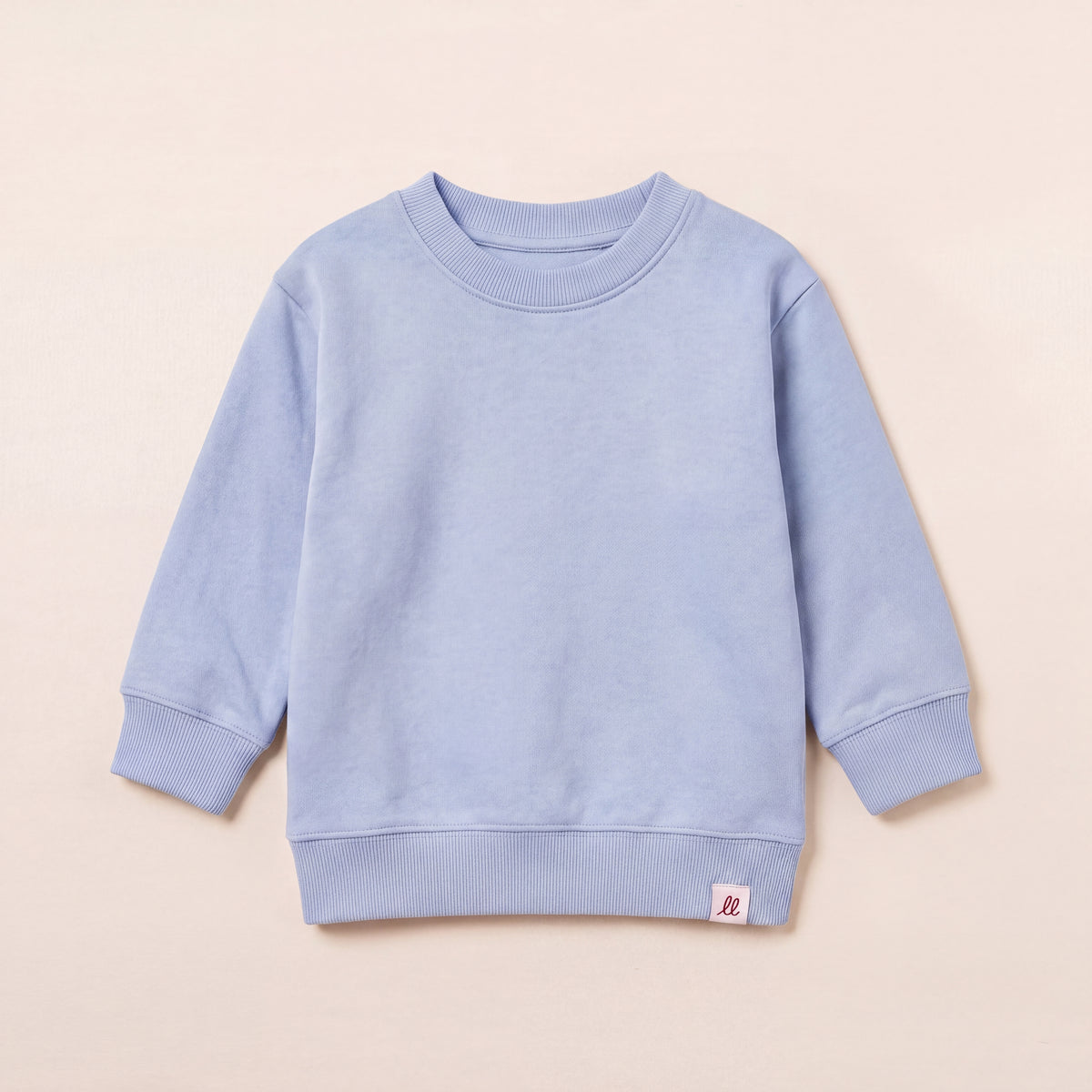 Nicht zu bremsen – Sweatshirt – Packshot Front (C149/BABY)