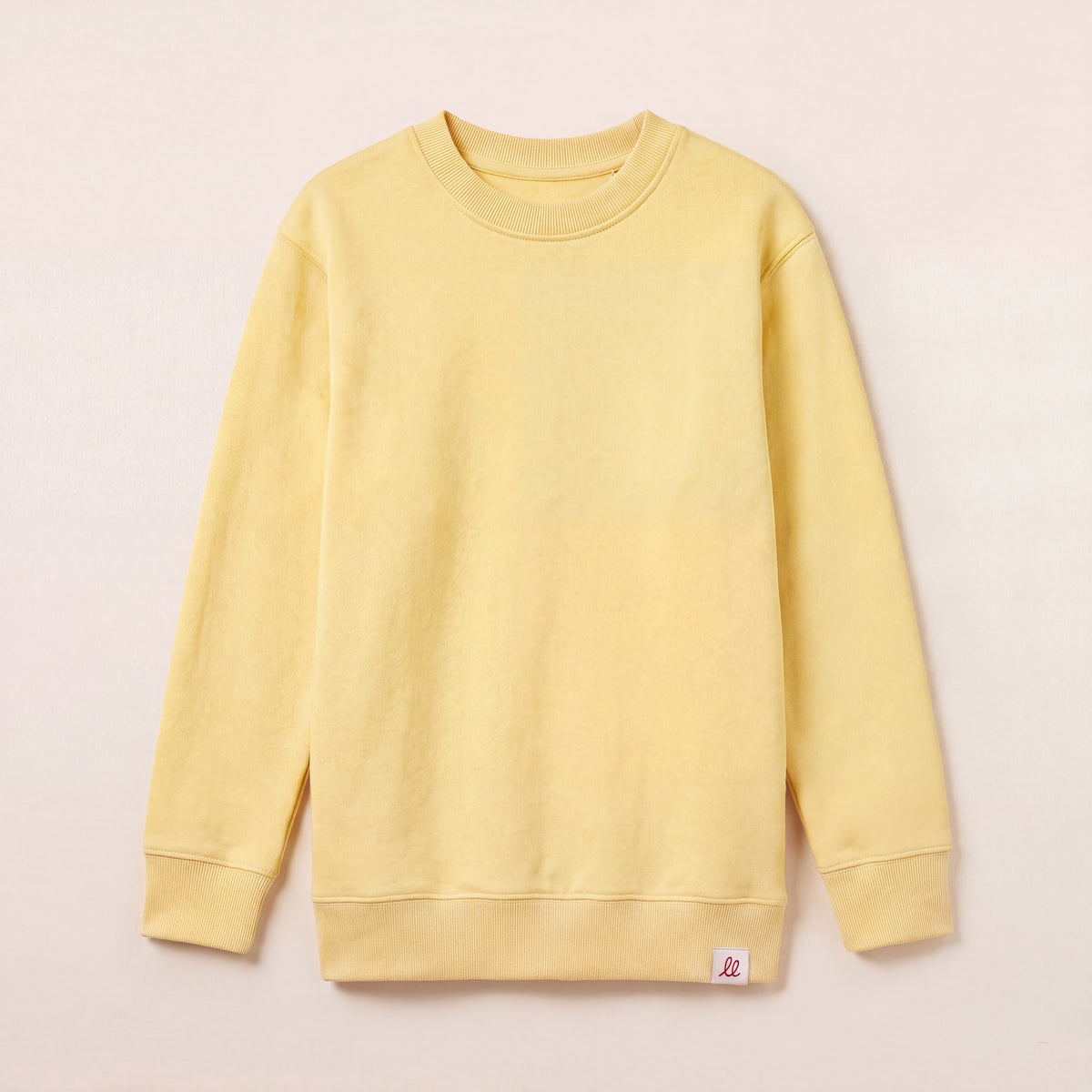 Nicht zu bremsen – Sweatshirt – Packshot Front (C356/KIDS)