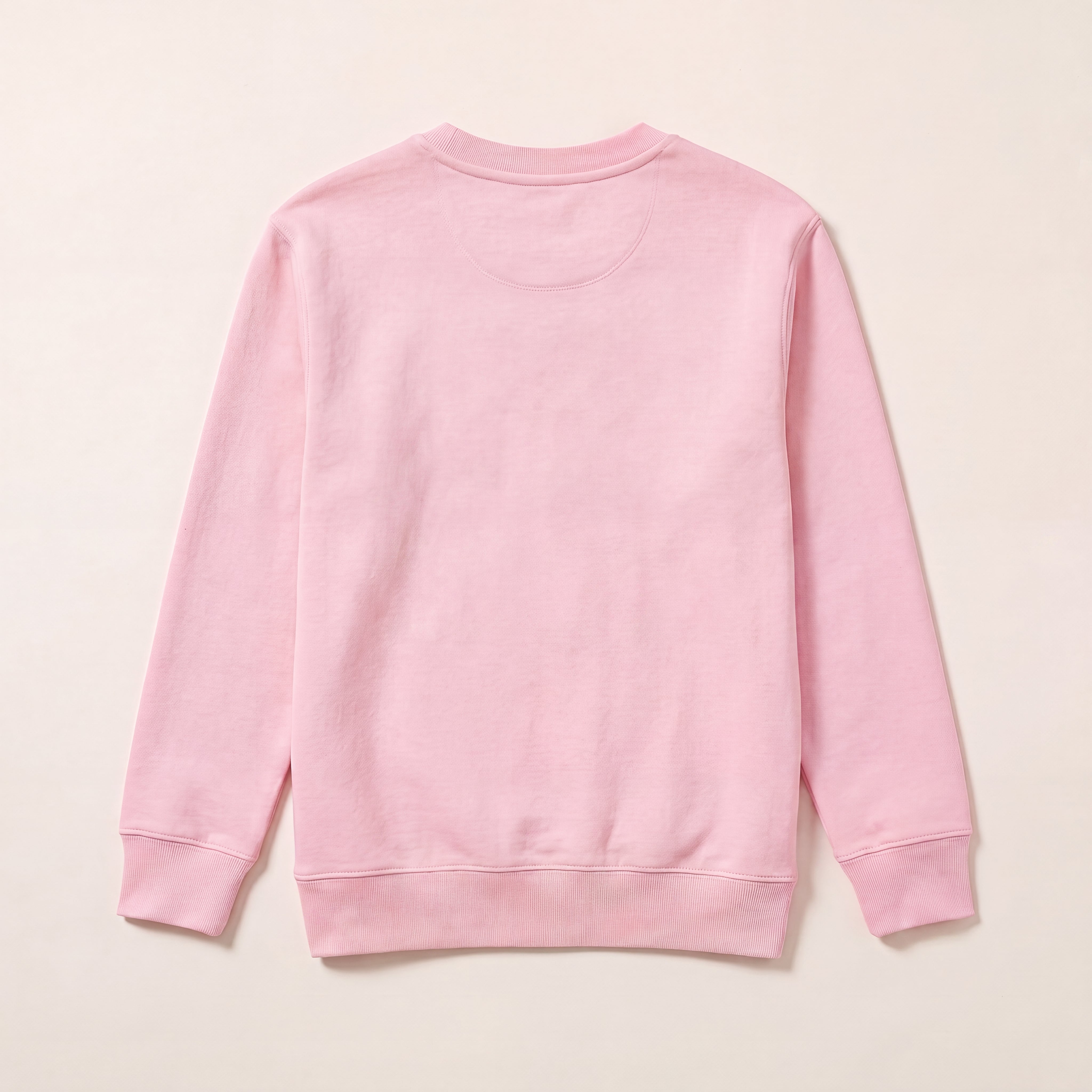 Blank – Sweatshirt – Rücken (pink)