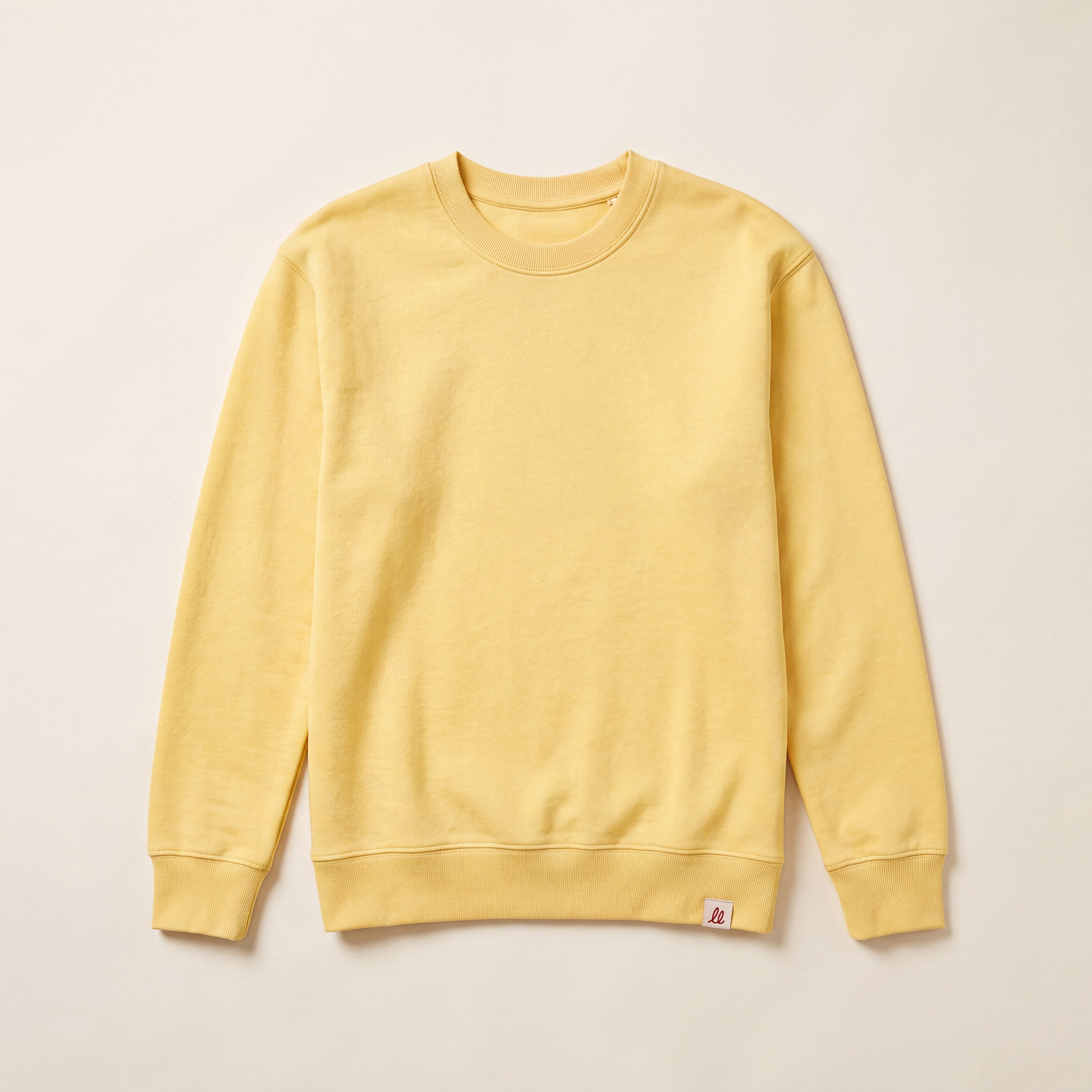 Blank – Sweatshirt – Front (viva)