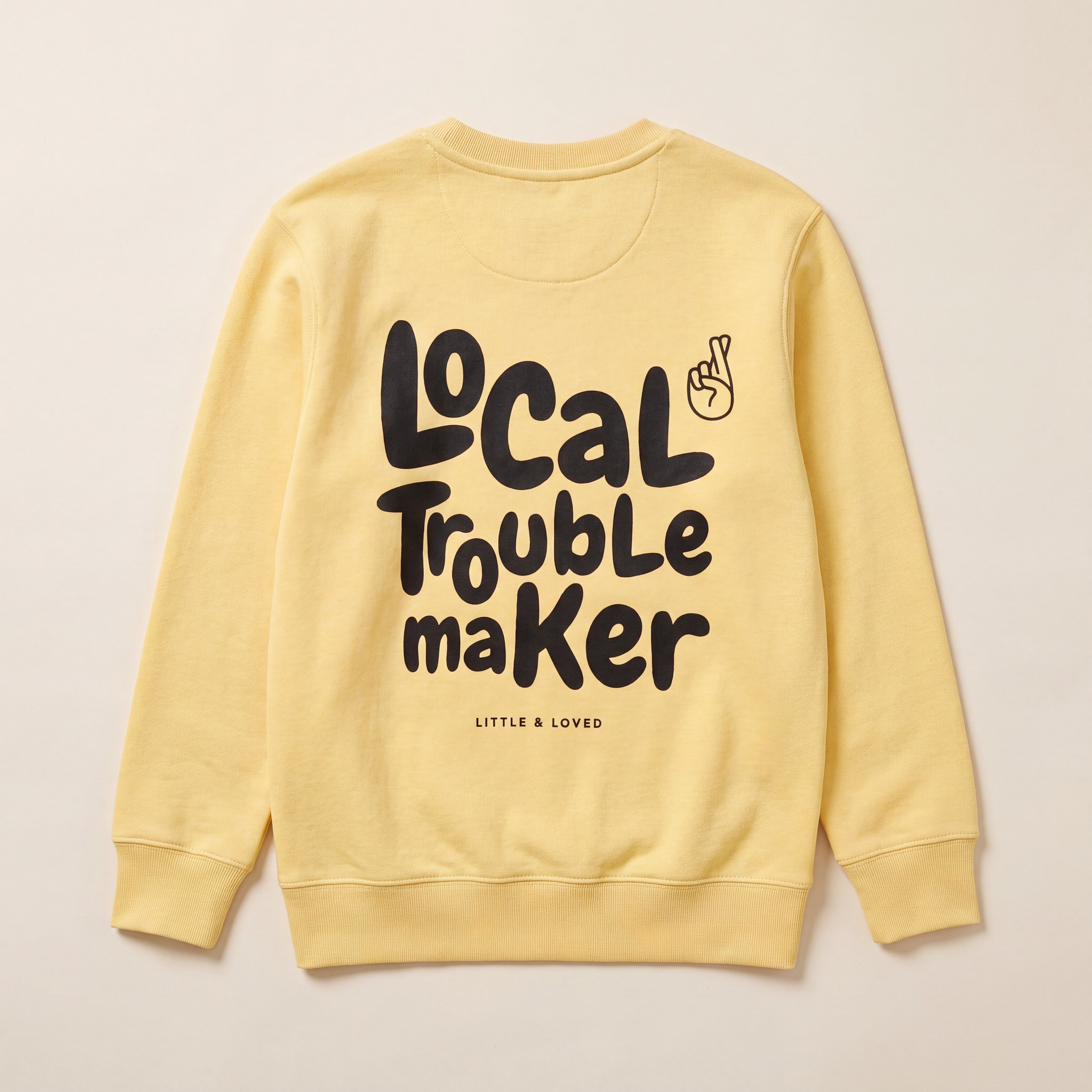 Local Troublemaker – Sweatshirt – Packshot Rücken (viva)