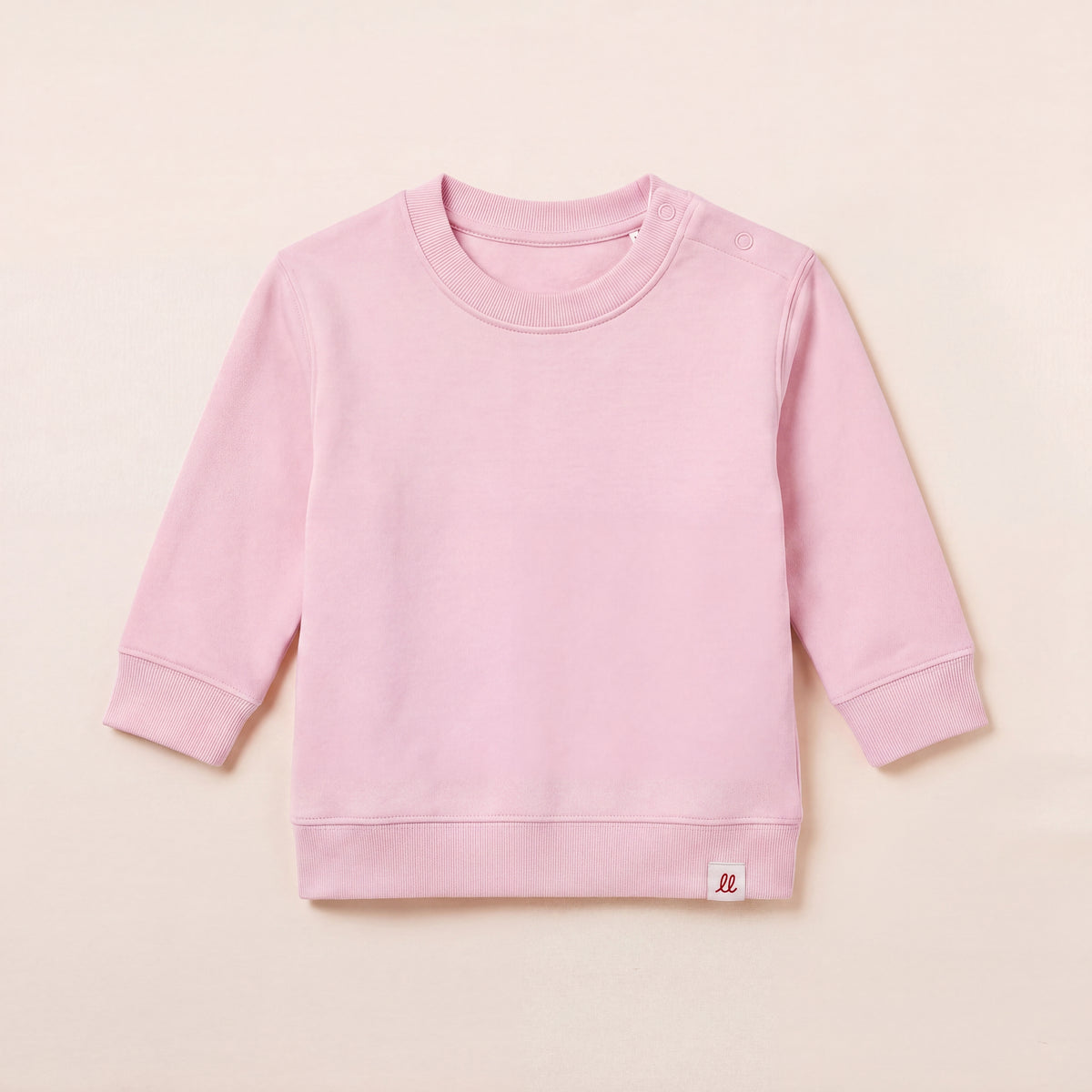 Nicht zu bremsen – Sweatshirt – Packshot Front (C005/BABY)