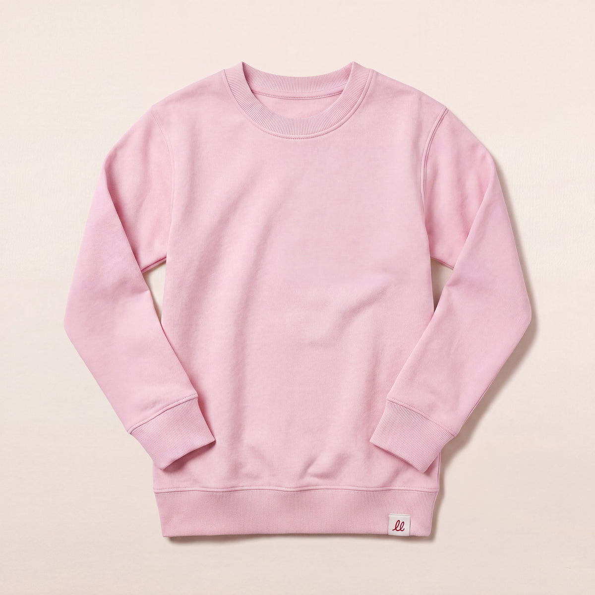 Nicht zu bremsen – Sweatshirt – Packshot Front (C005/KIDS)